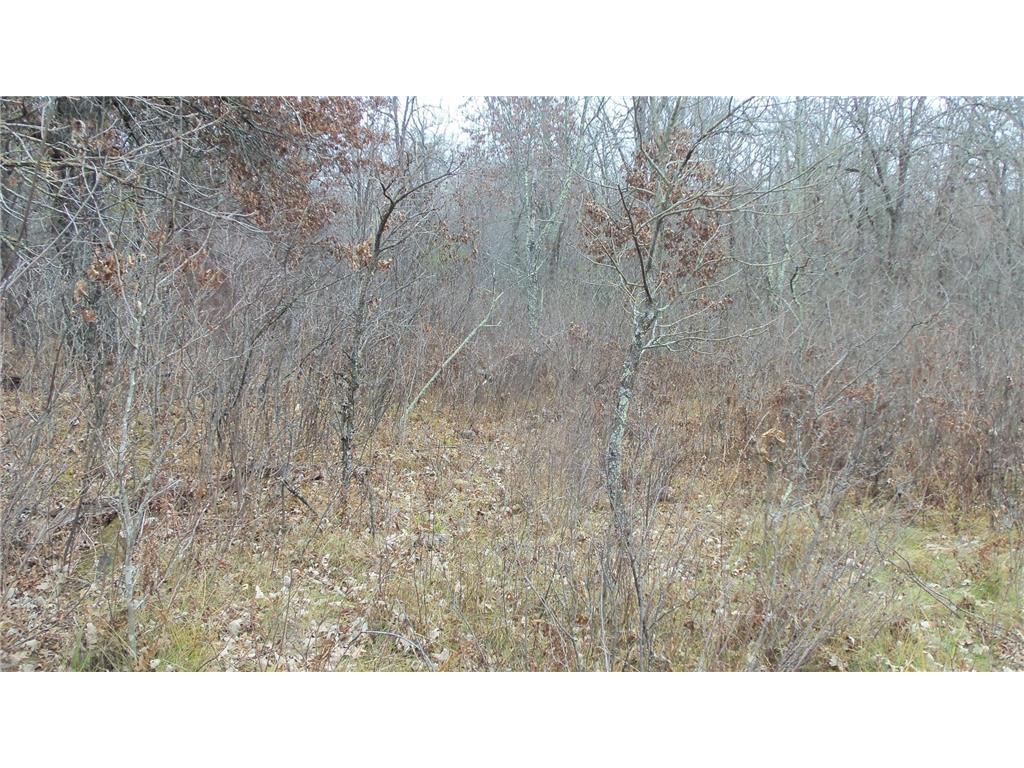 Lot 1 300th St Sterling Twp WI 54024 6815712 image9