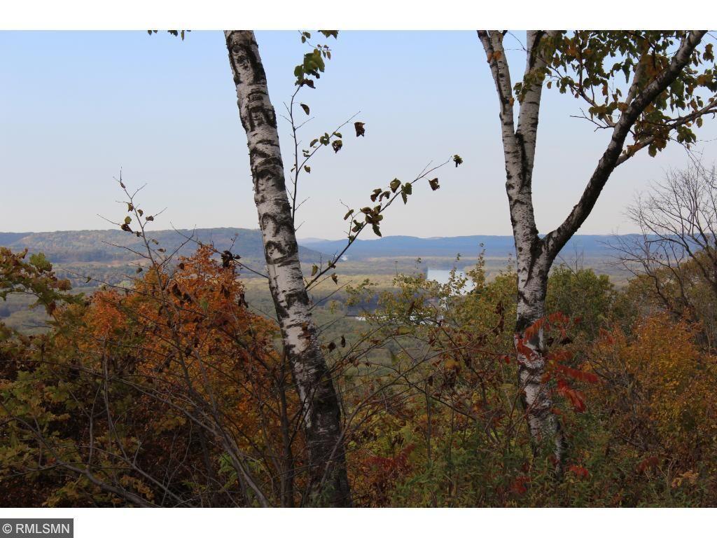 Lot 1 706th Street Wabasha MN 55981 - Mississippi 6643967 image5