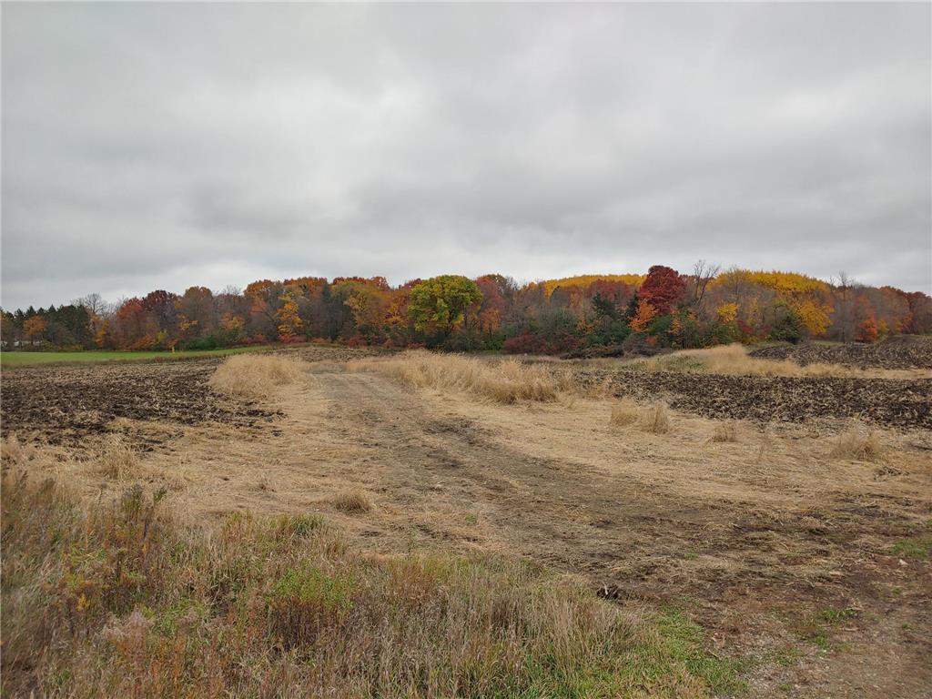 Lot 1 80th Street NW Maple Lake Twp MN 55313 6461517 image1