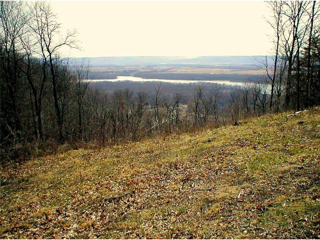 Lot 1 Alma Hills Alma WI 54610 - Mississippi 7044074 image4