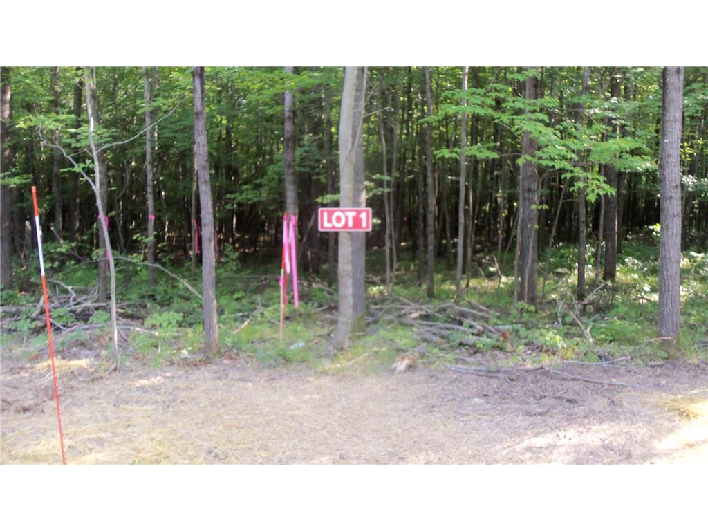 Lot 1 Aspen Ridge Trl Siren WI 54872 6576721 image1