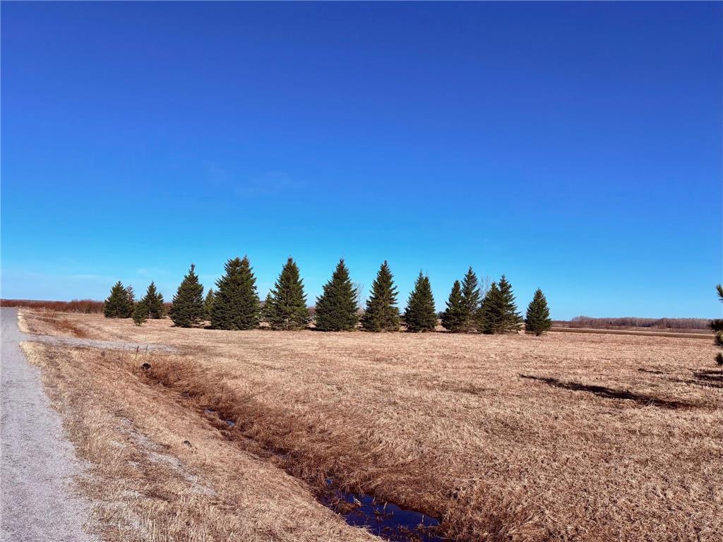 Lot 1 Badger Rd NW Baudette MN 56623 7060498 image11