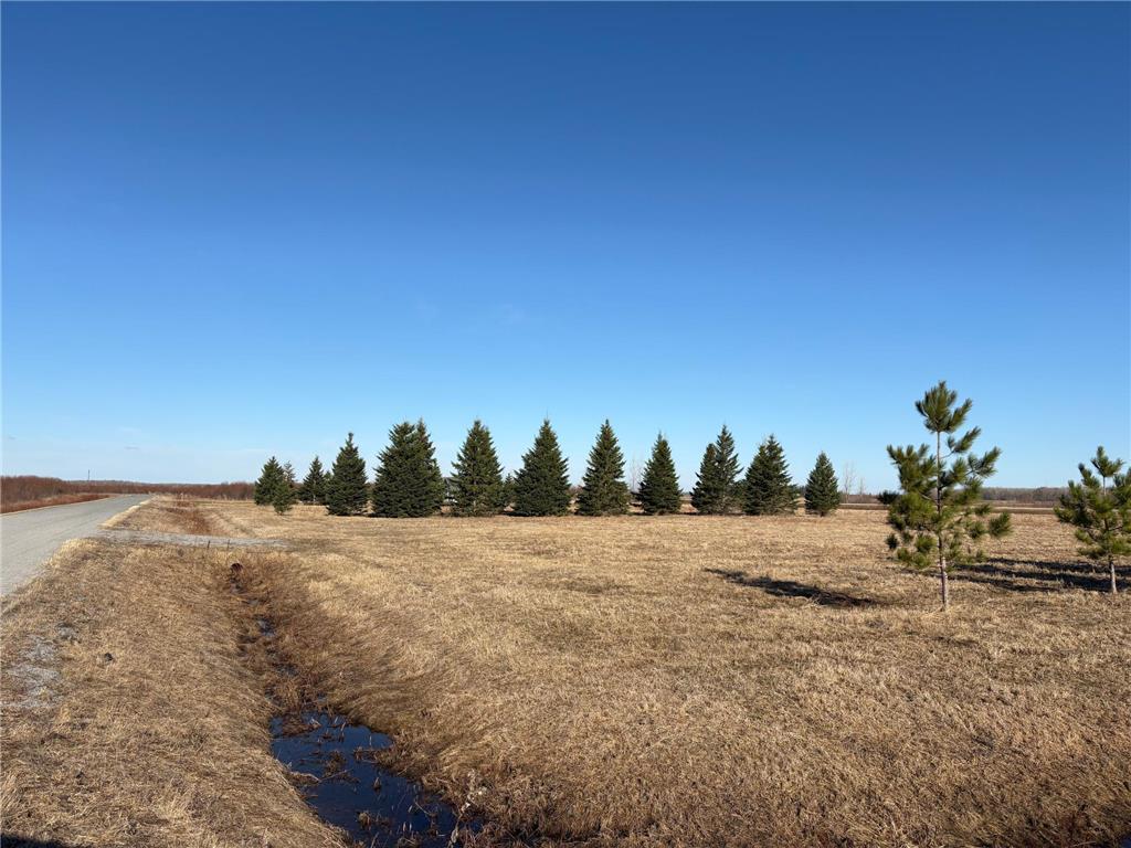 Lot 1 Badger Rd NW Baudette MN 56623 7060498 image12
