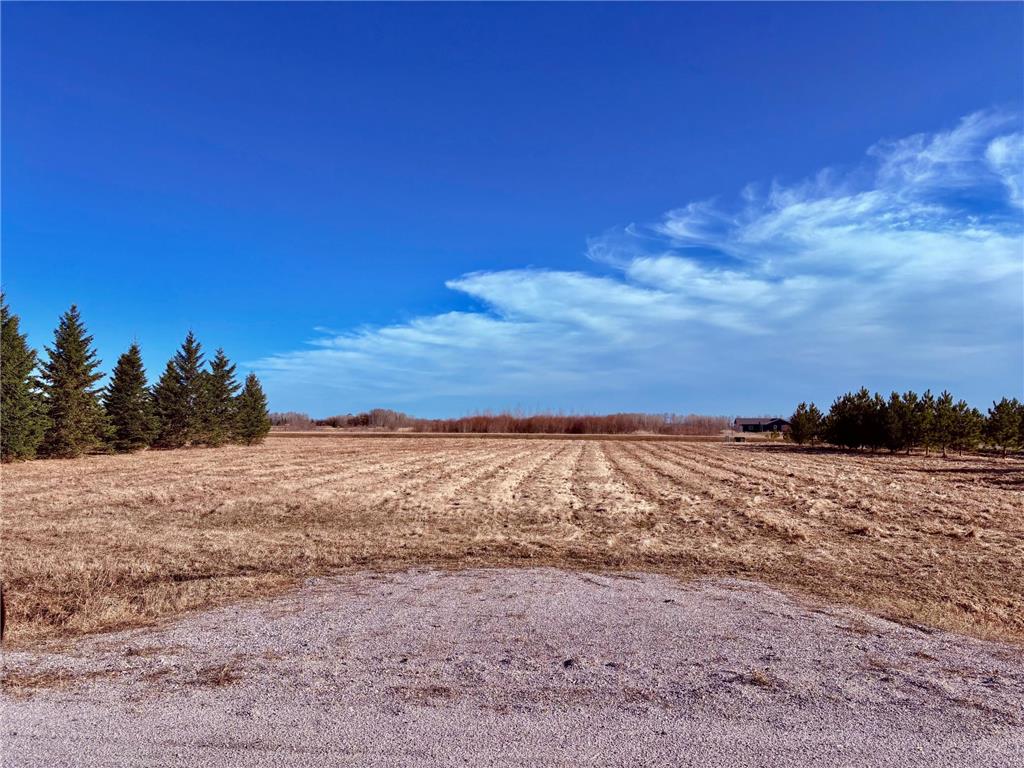 Lot 1 Badger Rd NW Baudette MN 56623 7060498 image13