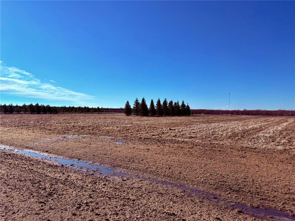 Lot 1 Badger Rd NW Baudette MN 56623 7060498 image15