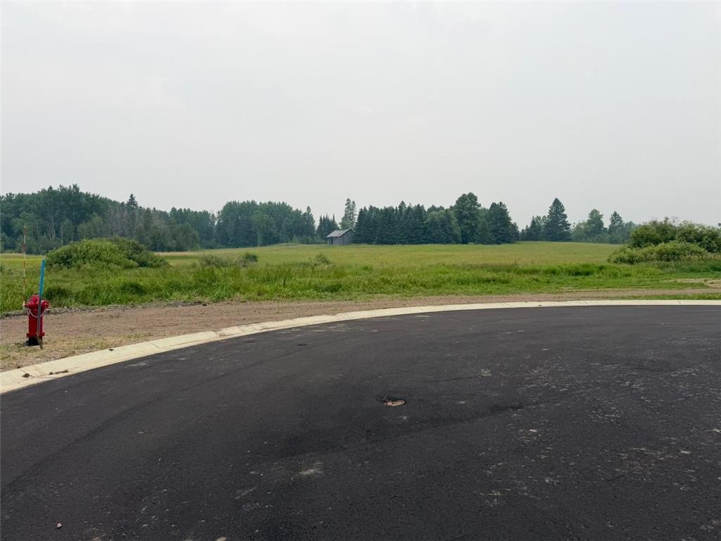 Lot 1 Blk 1 Eldien Dr Brook Cook MN 55723 7111879 image1