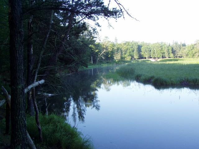 Lot 1 Blk 1 Falling Leaf Trail Park Rapids MN 56470 - Potato River 4554250 image1