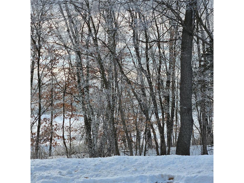 Lot 1 Block 1 2 1/2 Avenue NE Saint Stephen MN 56375 7006388 image9
