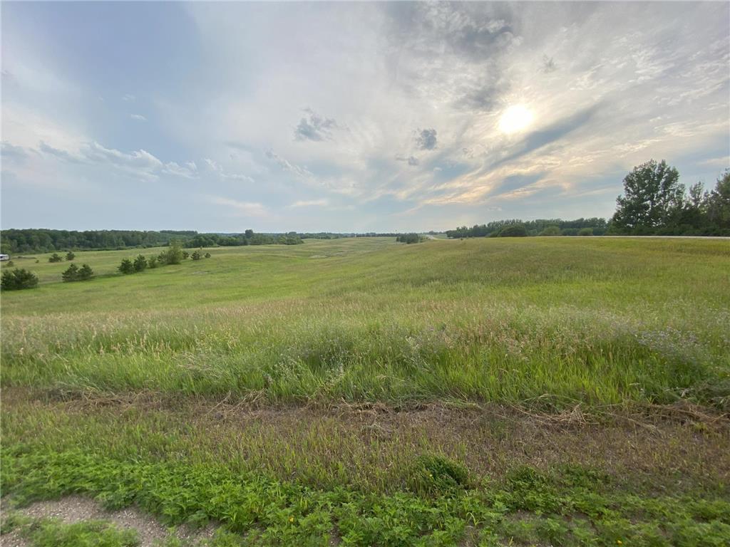 Lot 1 Block 1 Tasha Drive Ida Twp MN 56332 6395616 image1