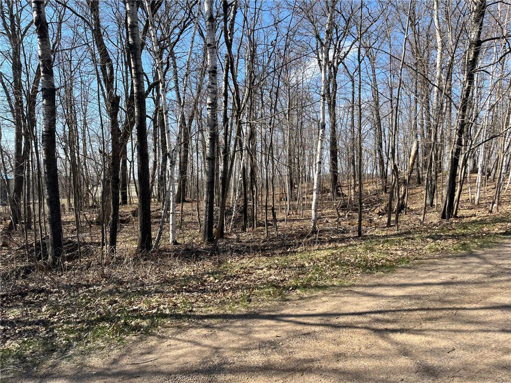 Lot 1 Block 12 Roosevelt Twp MN 56450 6711652 image1