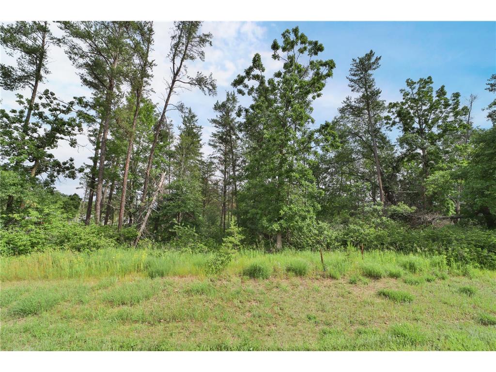 Lot 1 Block 2 Joshua Tree Drive Baxter MN 56425 6506438 image1