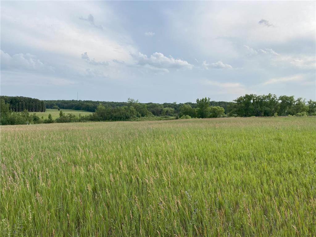 Lot 1 Block 2 Tasha Drive Ida Twp MN 56332 6395778 image1