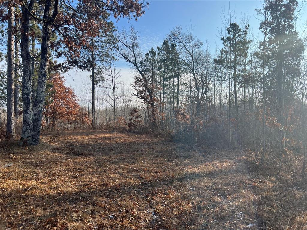 Lot 1 Brancel Road Chicog Twp WI 54859 6472017 image1