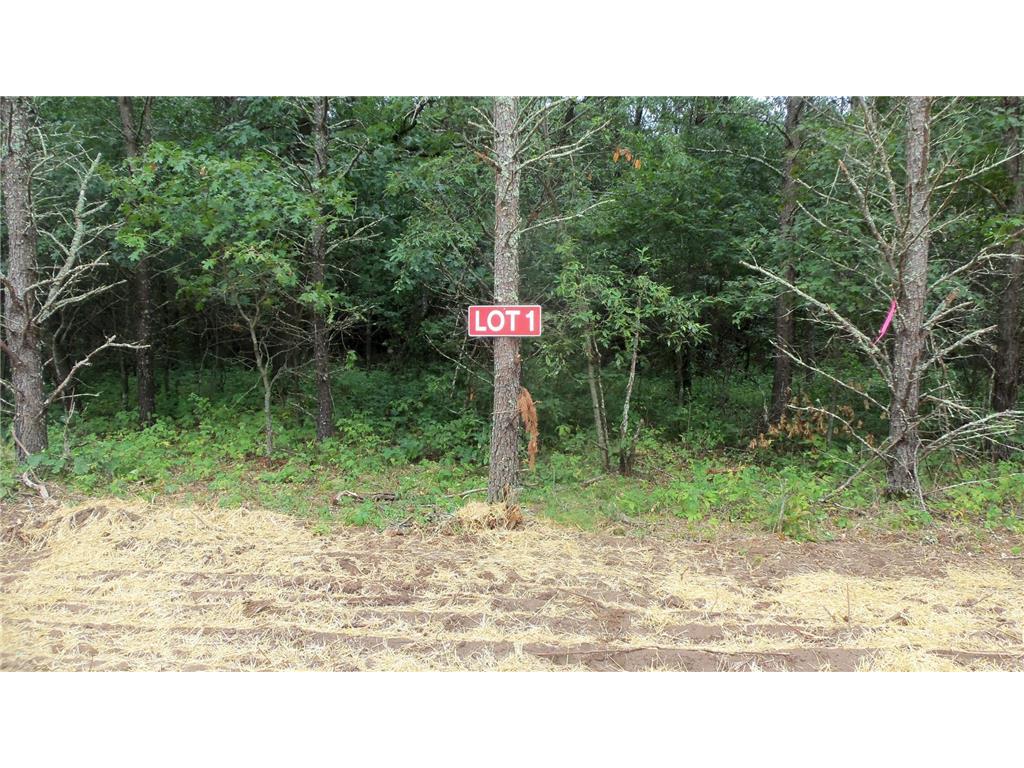 Lot 1 Bur Oak Trl Anderson Twp WI 54840 6582173 image1