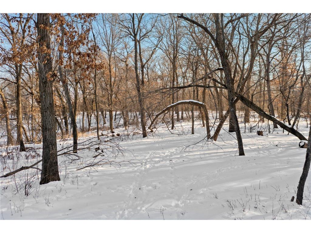 Lot 1 Central Drive NE Cambridge MN 55008 6740215 image29