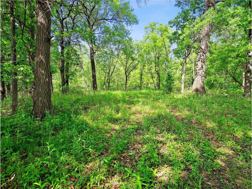 Lot 1 Central Drive NE Cambridge MN 55008 6740215 image6