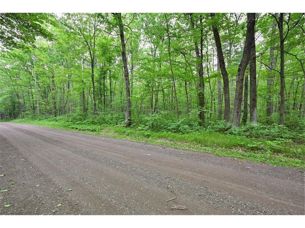 Lot 1 Chippewa Avenue Bass Lake Twp WI 54843 7000691 image1