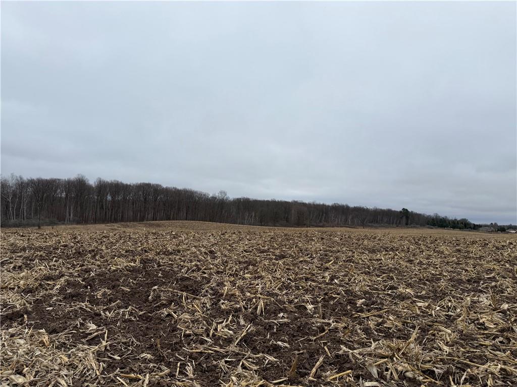 Lot 1 County Hwy D Long Lake Twp WI 54870 6825944 image5