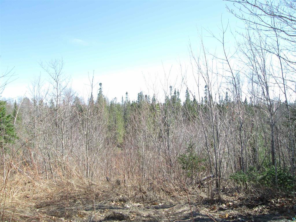 Lot 1 County Rd L South Range WI 54874 7033317 image23