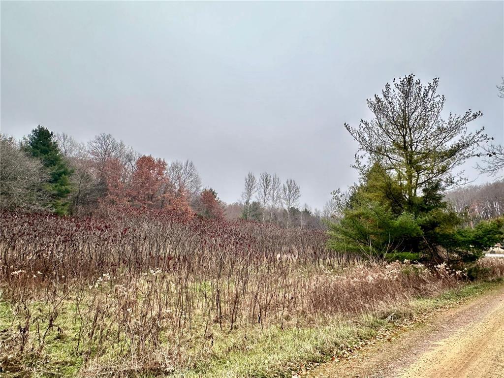 Lot 1 County Rd M Clifton Twp WI 54022 6821514 image5