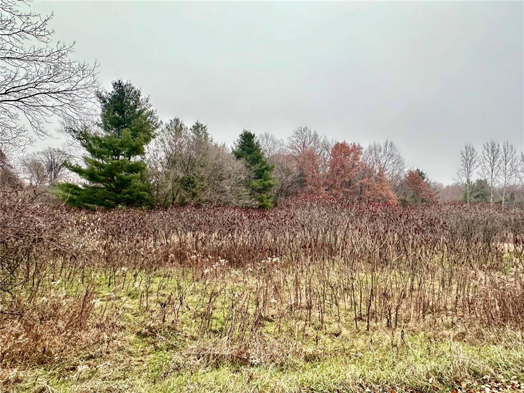 Lot 1 County Rd M Clifton Twp WI 54022 6821514 image6
