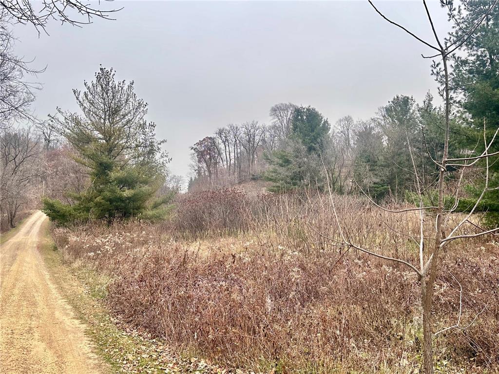 Lot 1 County Rd M Clifton Twp WI 54022 6821514 image7