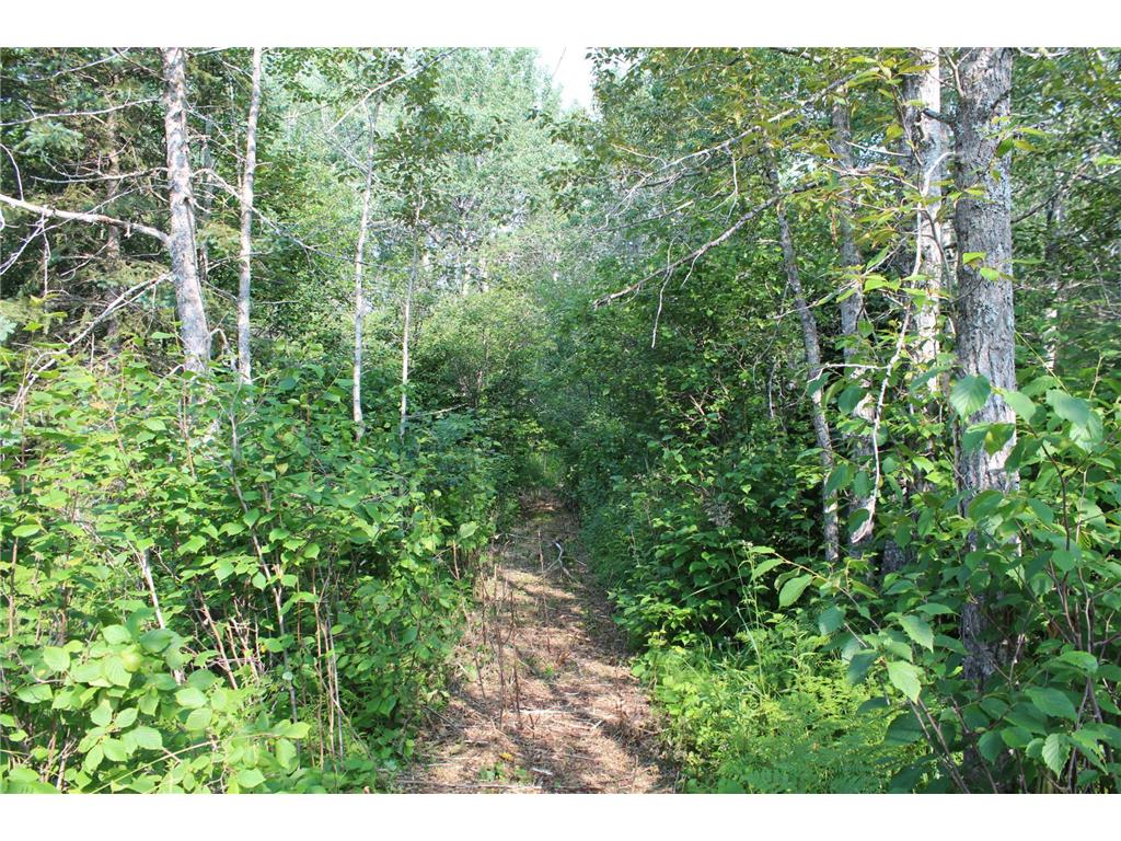 Lot 1 E Camp Amnicon Road Superior WI 54874 - Lake Superior 6683719 image10
