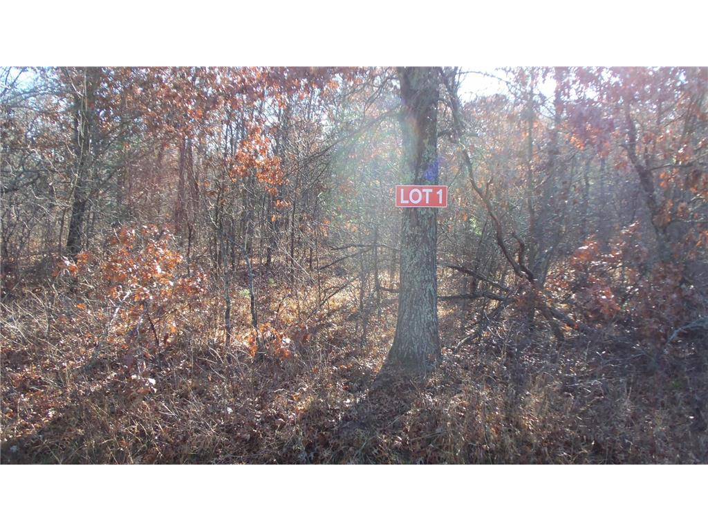 Lot 1 Ferry Rd Grantsburg Twp WI 54840 6821608 image1