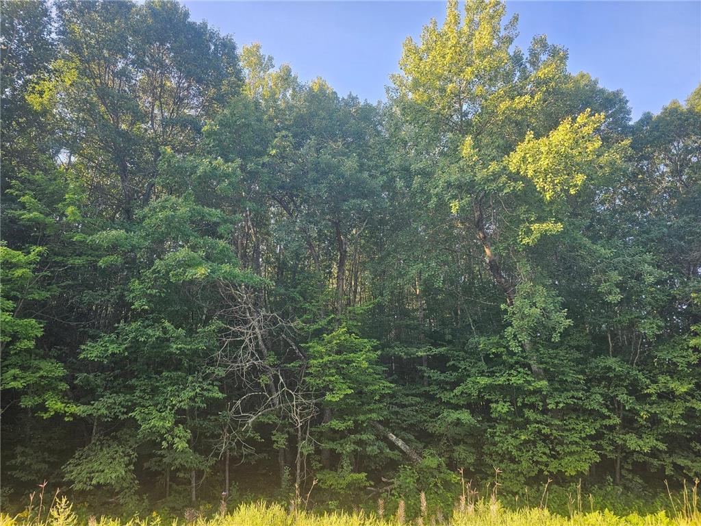Lot 1 Ken Can Lane Jackson Twp WI 54893 6779102 image5