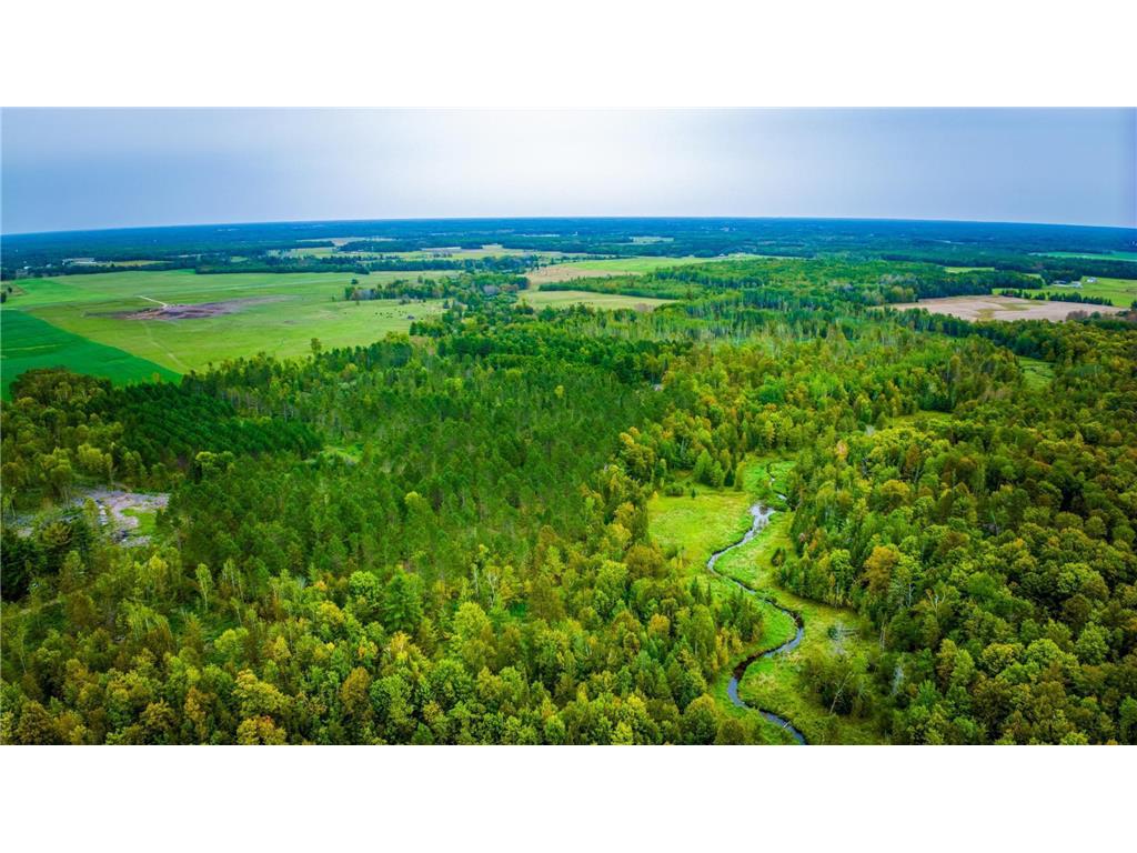 Lot 1 N Blackduck Lake Road NE Hines MN 56647 - Blackduck River 6639037 image4