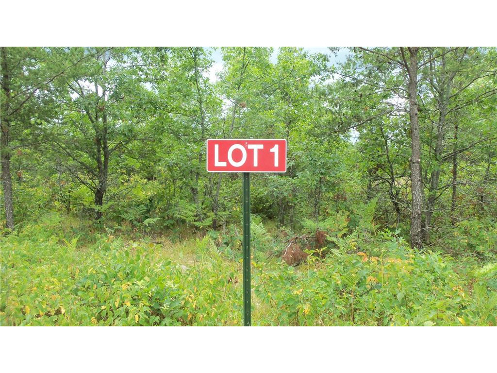 Lot 1 Nancy Lake Rd Minong Twp WI 54859 6421075 image1