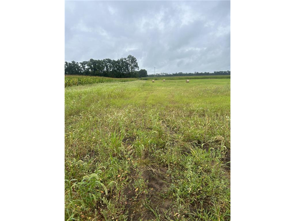 Lot 1 Orlando Avenue Ravenna Twp MN 55033 6561678 image6