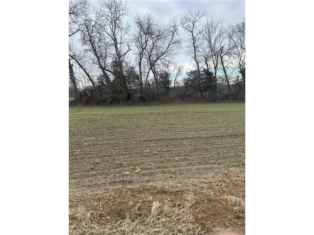 Lot 1 Orlando Avenue Ravenna Twp MN 55033 7054098 image3