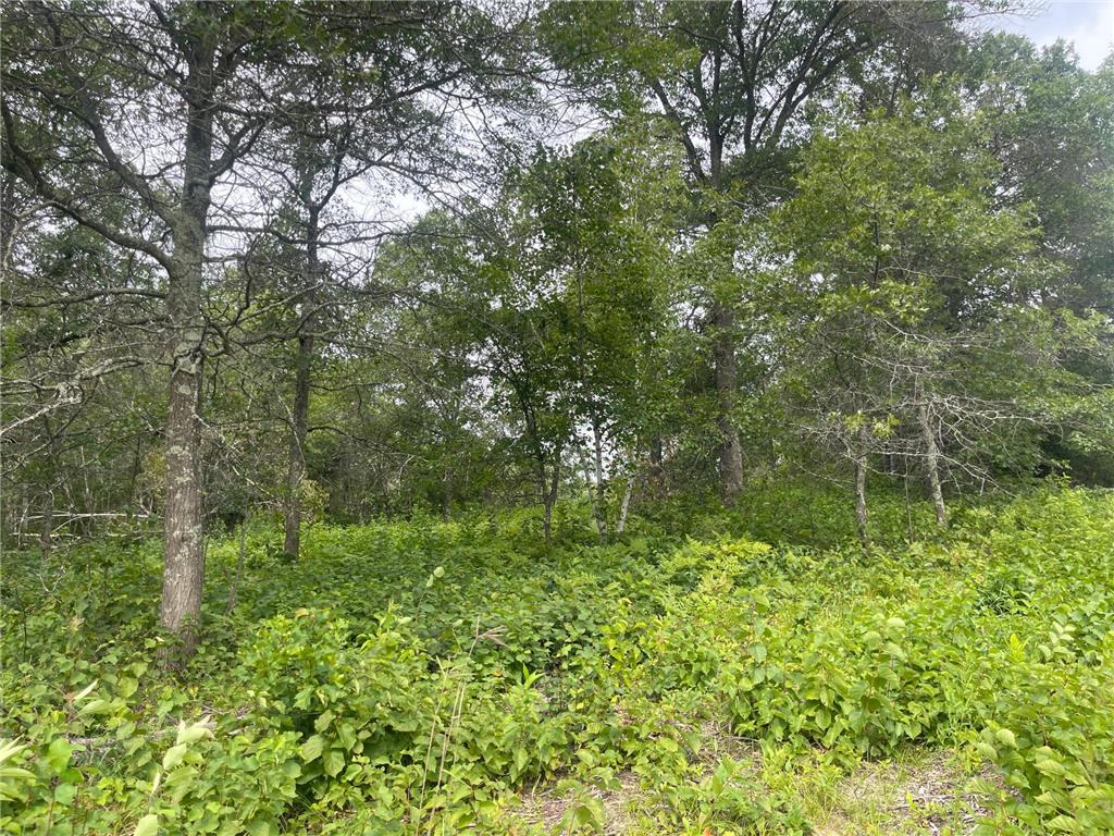 Lot 1 Patriot Ave Pequot Lakes MN 56472 6695227 image10