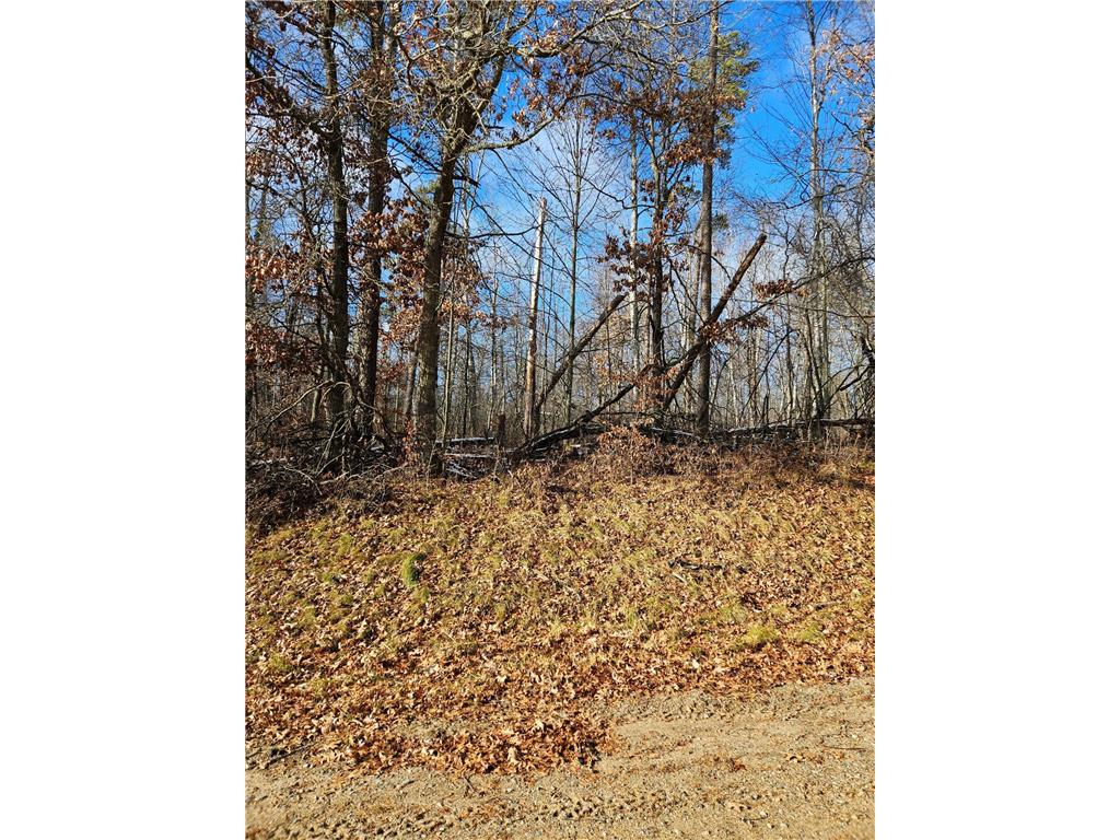 Lot 1 Raccoon Lane Breezy Point MN 56472 6633935 image4