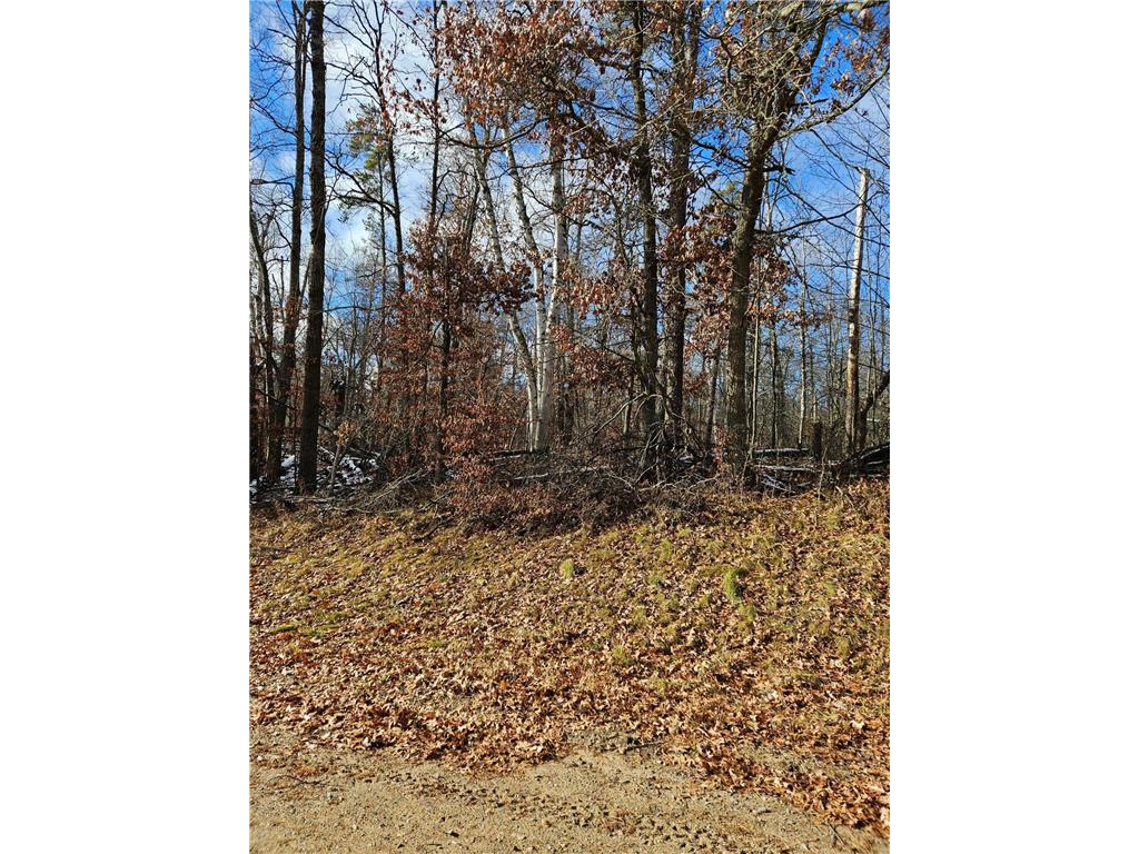 Lot 1 Raccoon Lane Breezy Point MN 56472 6633935 image5