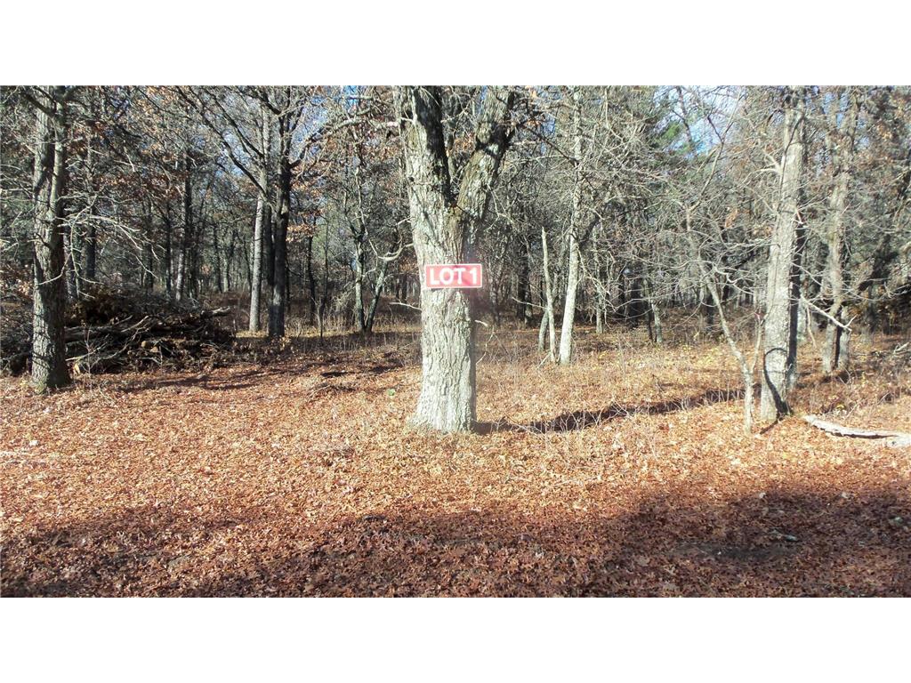 Lot 1 Riverview Trl Grantsburg WI 54840 6461572 image1
