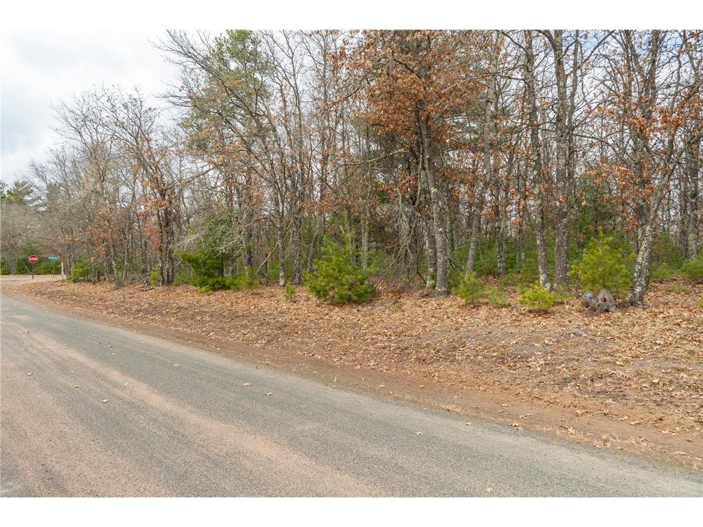 Lot 1 S Madison Avenue Wascott WI 54838 7047546 image4