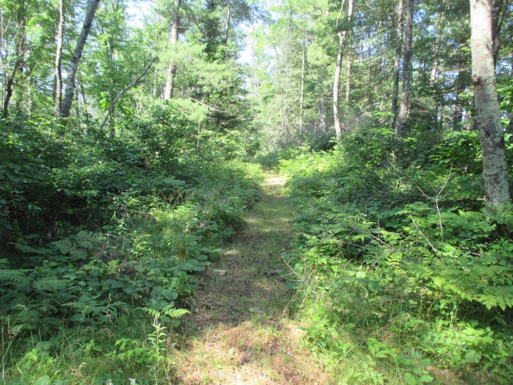 Lot 1 State Road 27/70 Couderay WI 54828 - Couderay River 6716005 image3