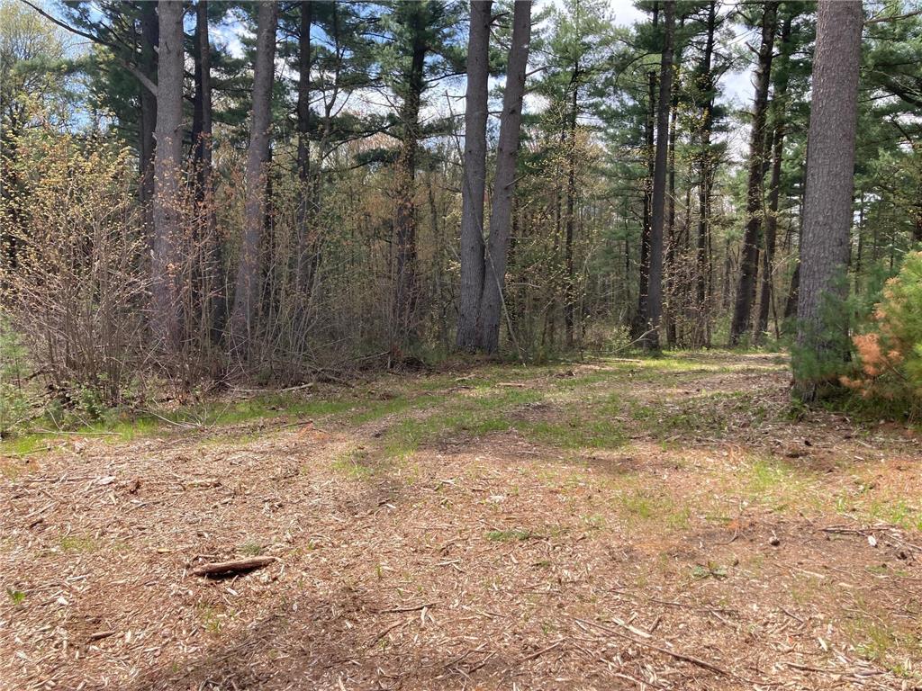 Lot 1 Surely Drive Siren Twp WI 54872 6673506 image14