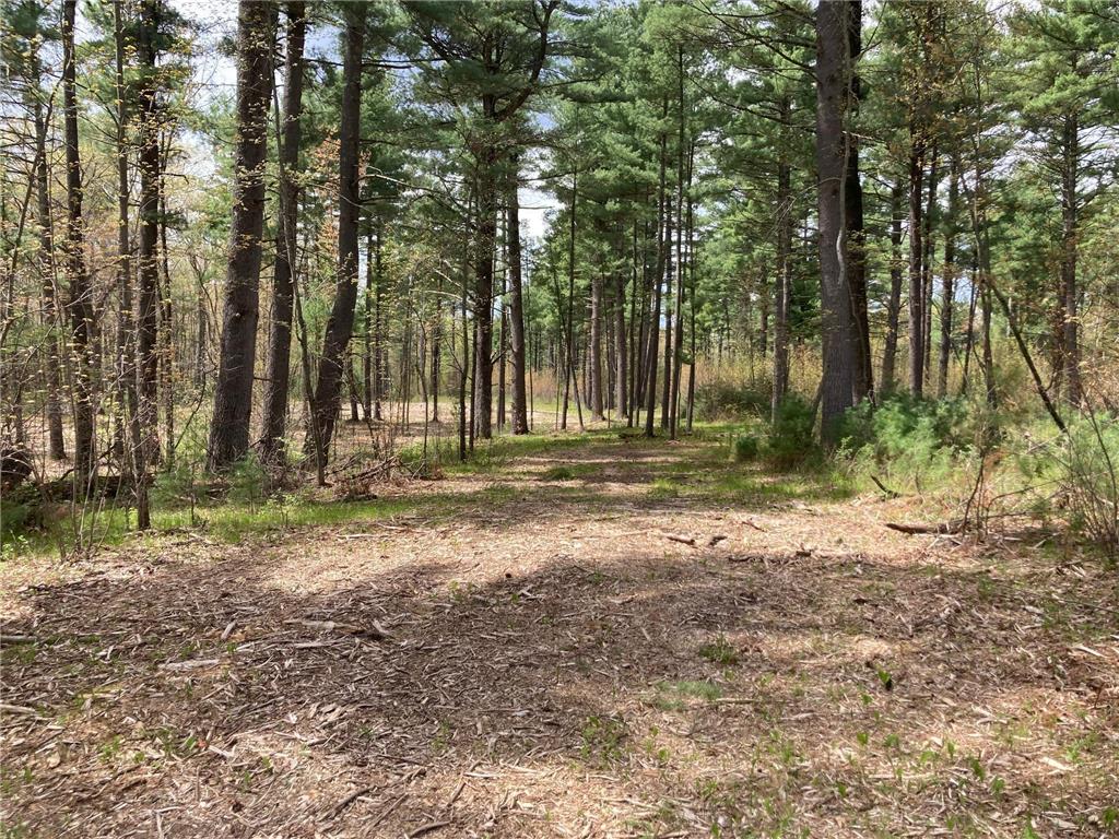 Lot 1 Surely Drive Siren Twp WI 54872 6673506 image15