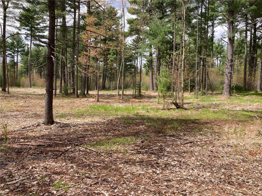 Lot 1 Surely Drive Siren Twp WI 54872 6673506 image17