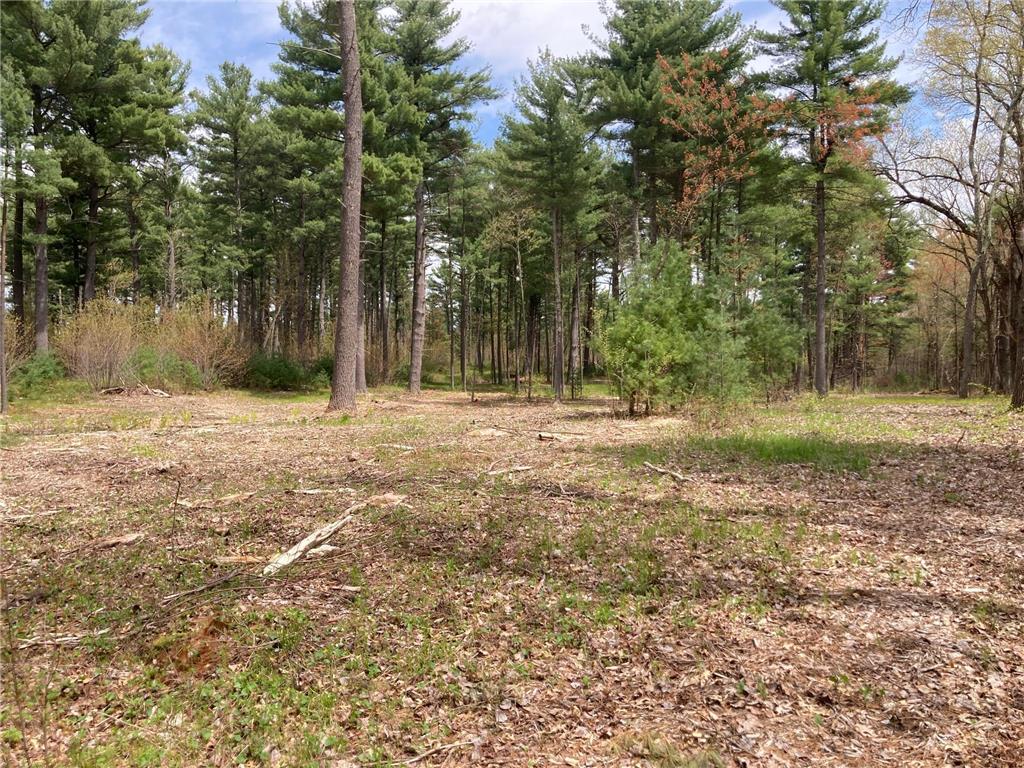 Lot 1 Surely Drive Siren Twp WI 54872 6673506 image18