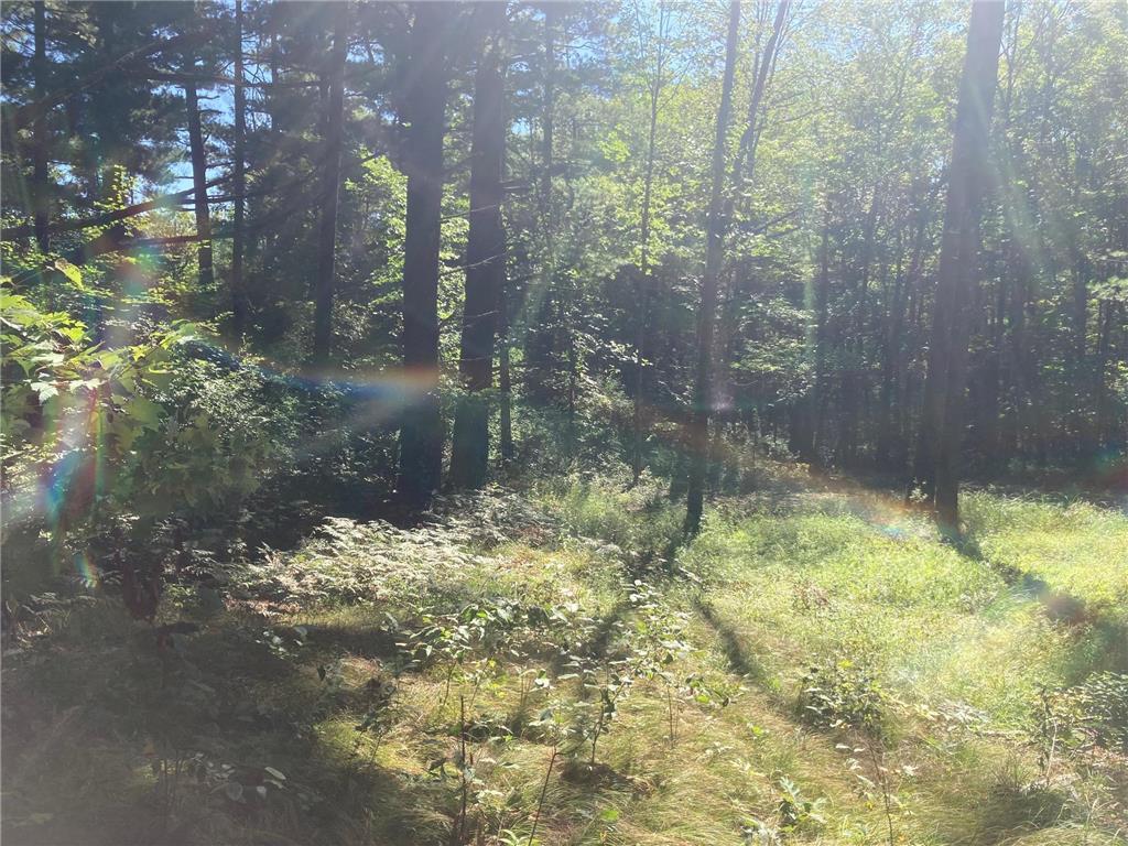 Lot 1 Surely Drive Siren Twp WI 54872 6673506 image22