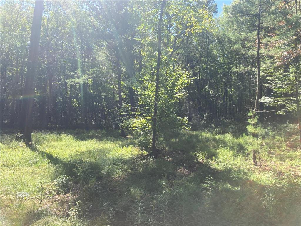 Lot 1 Surely Drive Siren Twp WI 54872 6673506 image23
