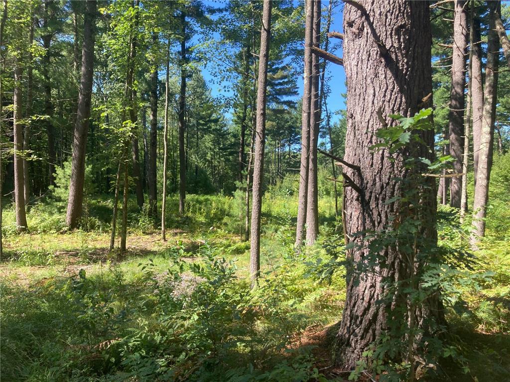 Lot 1 Surely Drive Siren Twp WI 54872 6673506 image25