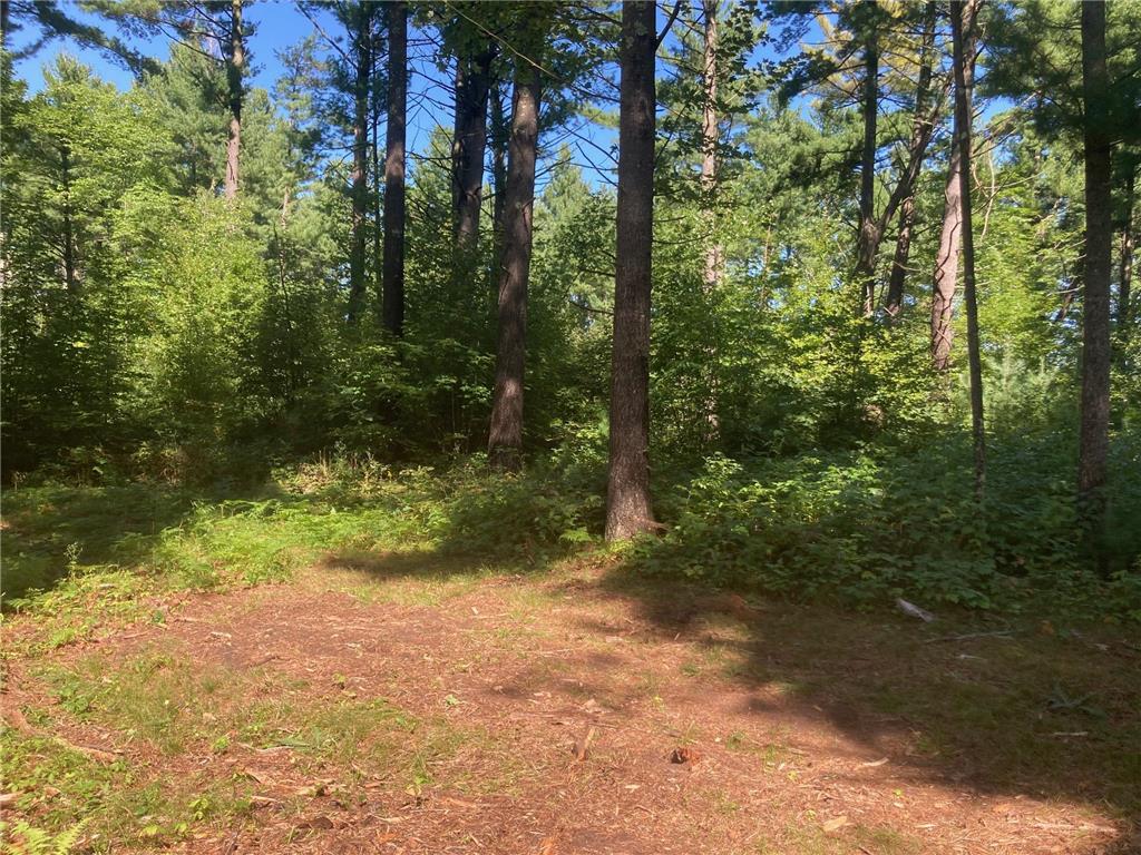 Lot 1 Surely Drive Siren Twp WI 54872 6673506 image27
