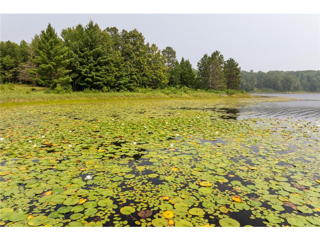Lot 1 Turtle Lake Drive NW Walker MN 56484 - Turtle Lake 6747031 image11