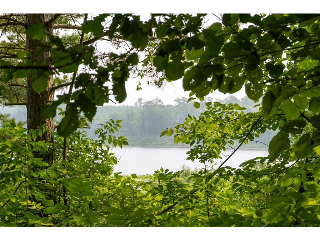 Lot 1 Turtle Lake Drive NW Walker MN 56484 - Turtle Lake 6747031 image17