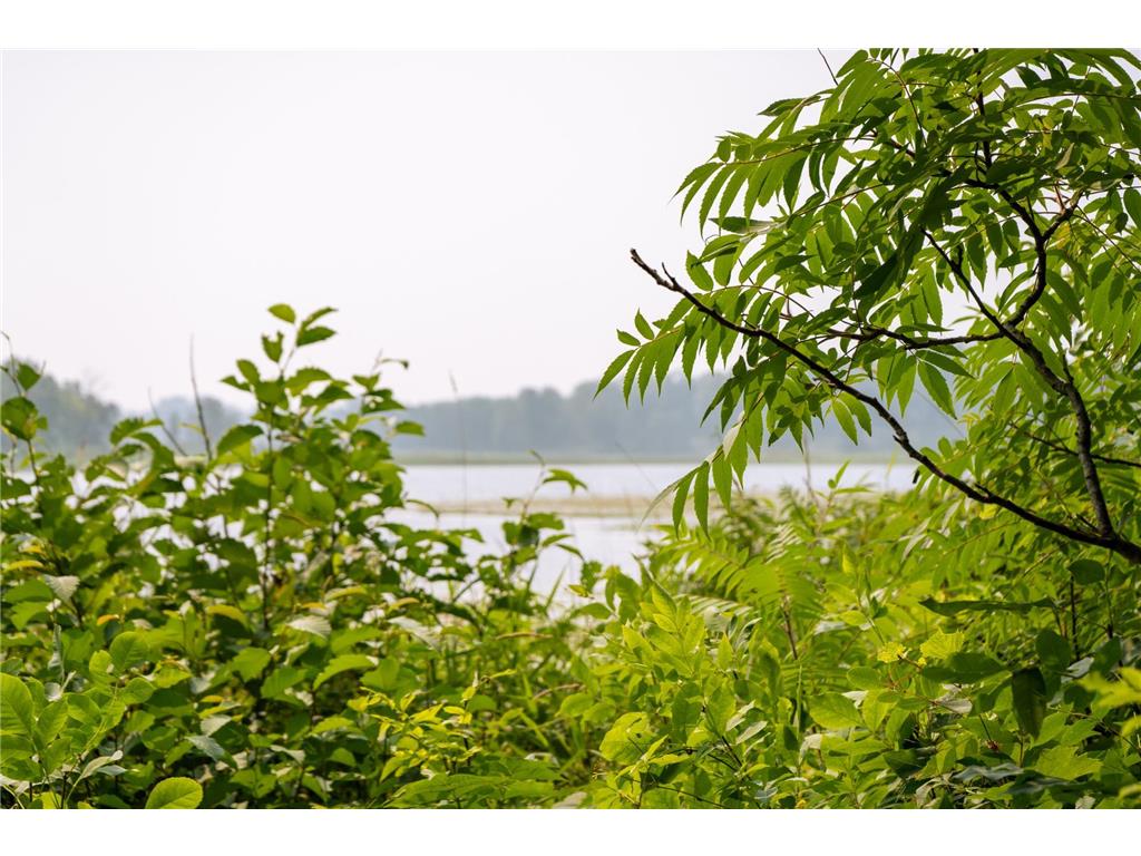 Lot 1 Turtle Lake Drive NW Walker MN 56484 - Turtle Lake 6747031 image19